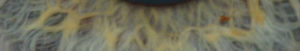 background2